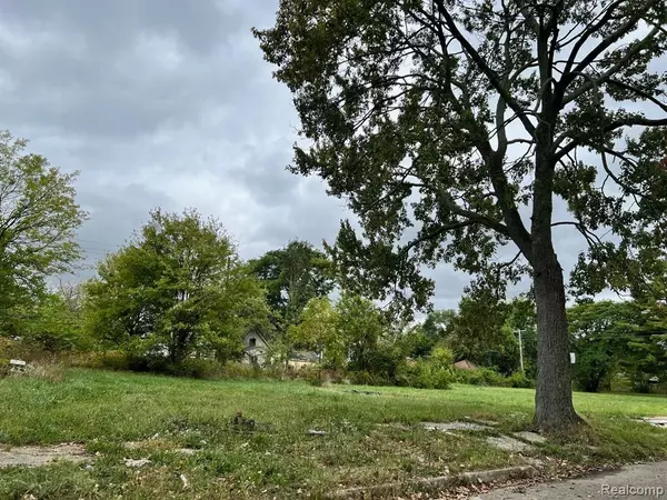 Detroit, MI 48205,13832 PINEWOOD Street