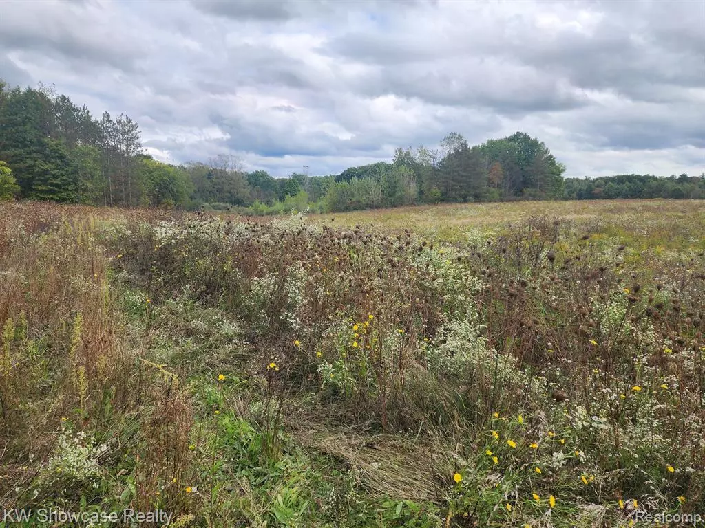 Goodells, MI,Lots B and C LASHBROOK VACANT LAND Road