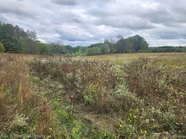 Lots B and C LASHBROOK VACANT LAND Road, Goodells, MI