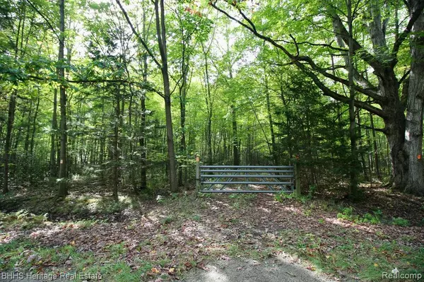 12000 FERGUS Road, Chesaning, MI 48655