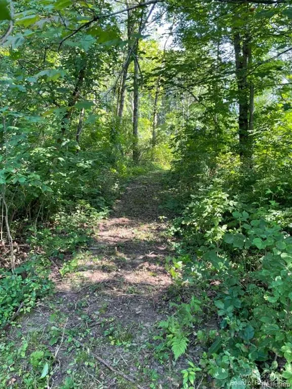Fenton, MI 48430,VL Denton Hills Road