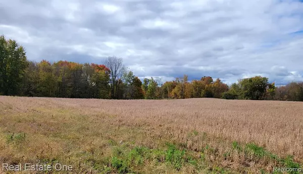 Imlay City, MI 48444,2 Blacks Corners Road