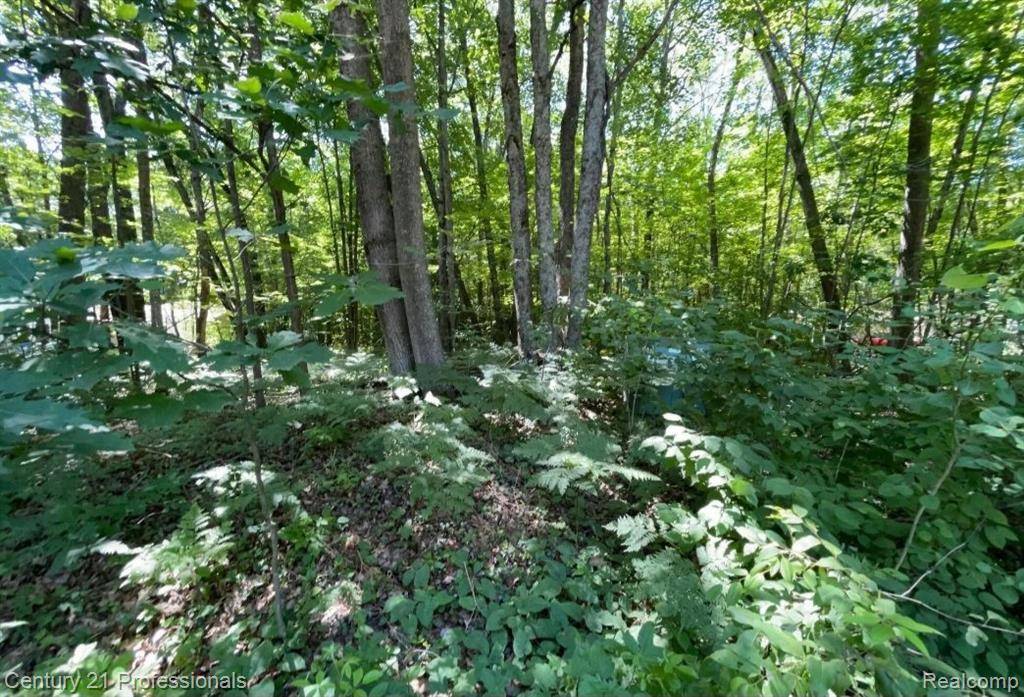Houghton Lake, MI 48653,Lot 789 Redwine Drive