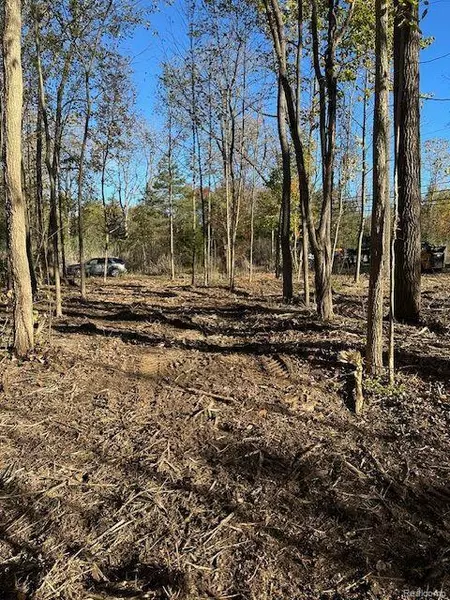 7827 EAMES Court, Independence, MI 48348