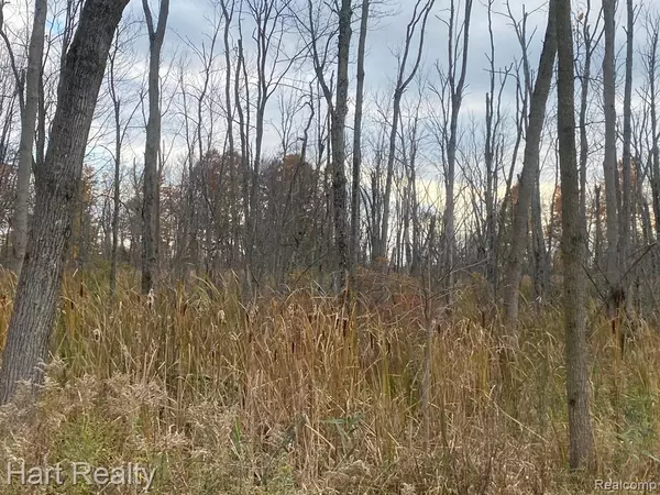 Mayville Vlg, MI 48744,0 Hunt Road