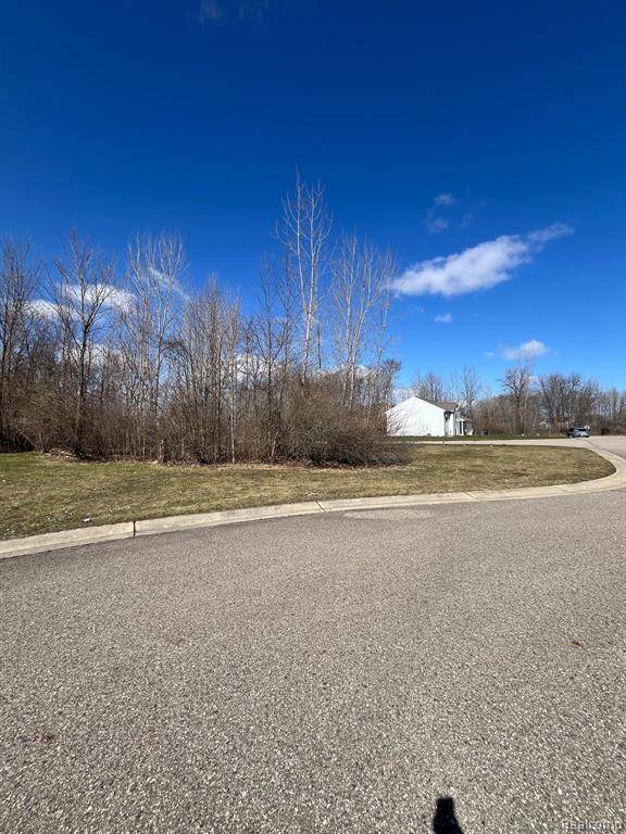 Grand Blanc, MI 48439,VL Lot 58 High Oaks Trail