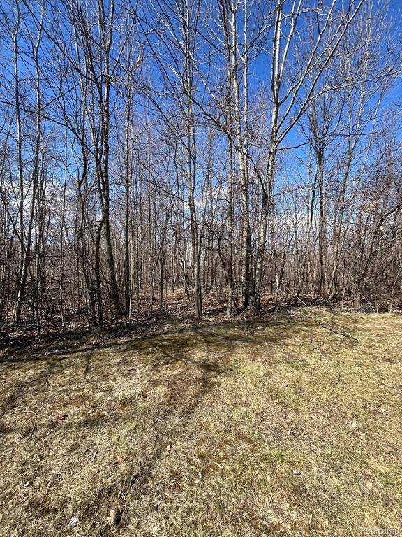 Grand Blanc, MI 48439,VL Lot 59 High Oaks Trail