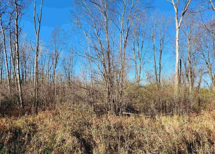 Omer, MI 48749,00 S CRAWFORD Road