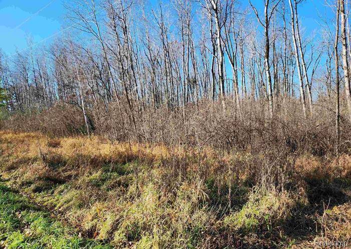 Omer, MI 48749,00 S CRAWFORD Road