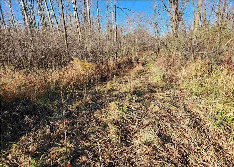 Omer, MI 48749,00 S CRAWFORD Road
