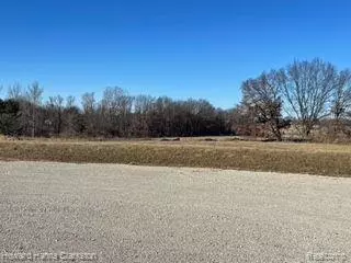 Howell, MI 48843,Lot 4 Misty Meadow (Chilson)