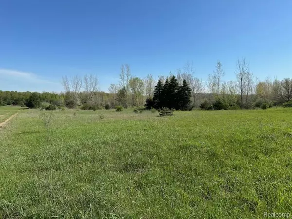 Mayville Vlg, MI 48744,0 Parcel B Ambrose Rd