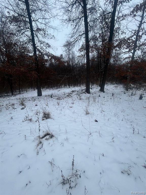 Brighton, MI 48114,12840 LARKINS Road