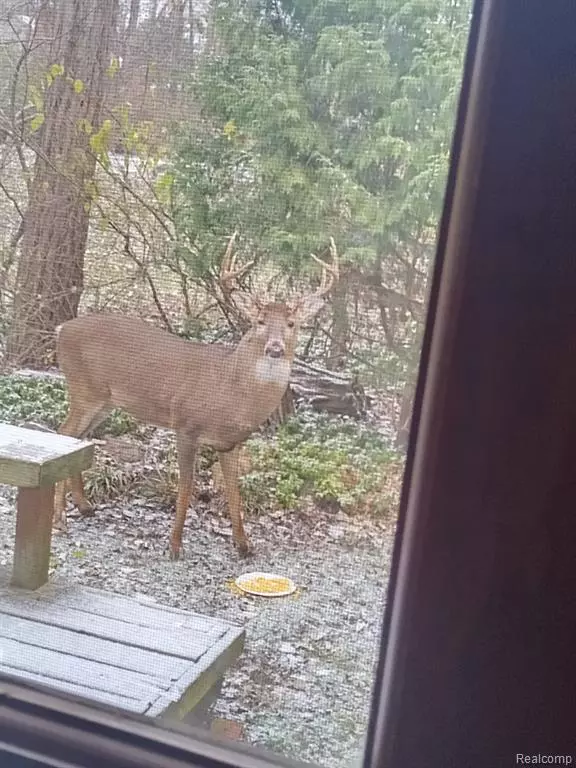 Bloomfield Hills, MI 48301,25690 W 14 MILE Road