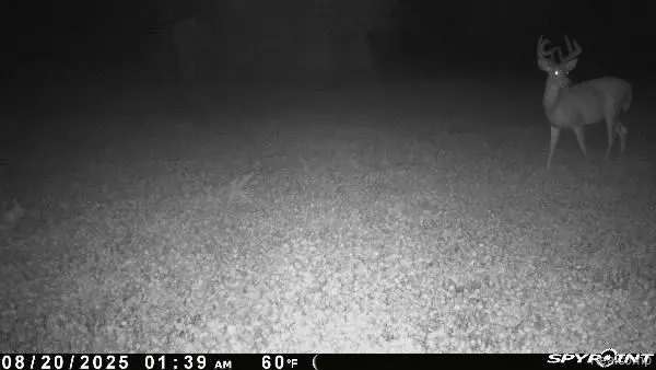 Jackson, MI 49201,V/L BLAKE Road