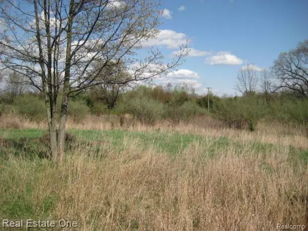 Grass Lake, MI 49240,12436 BOHNE Road