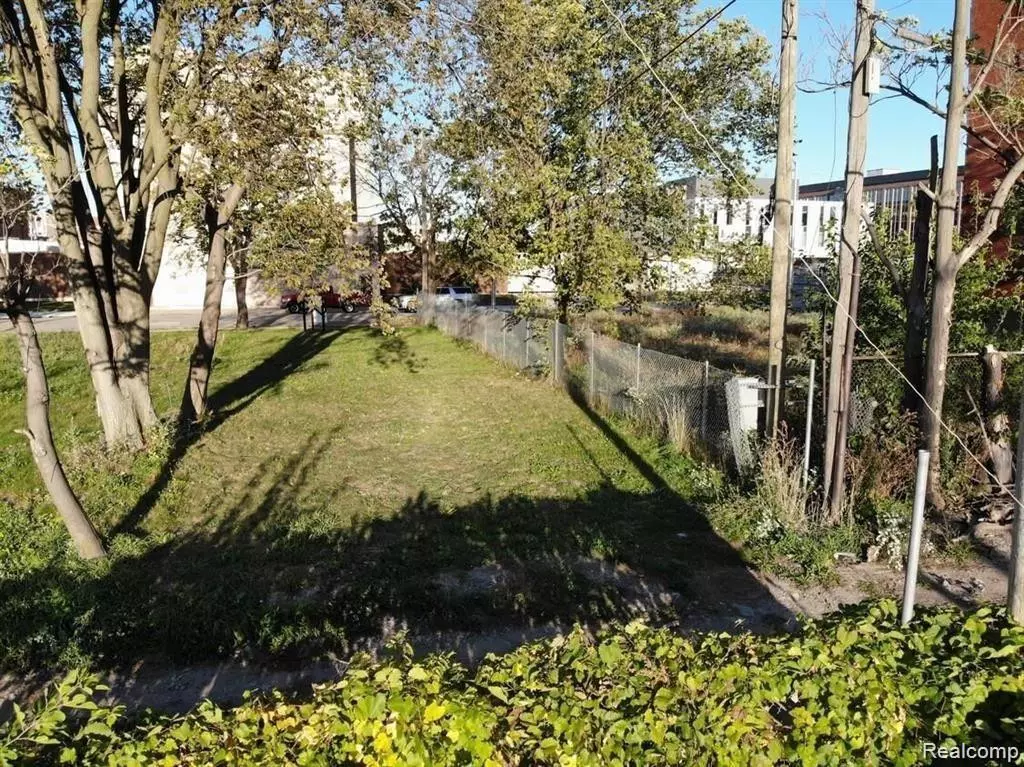 Detroit, MI 48201,2939 PARK Avenue