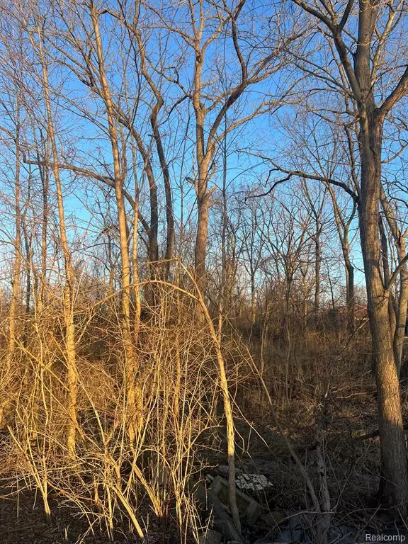 Grosse Ile, MI 48138,0 West River