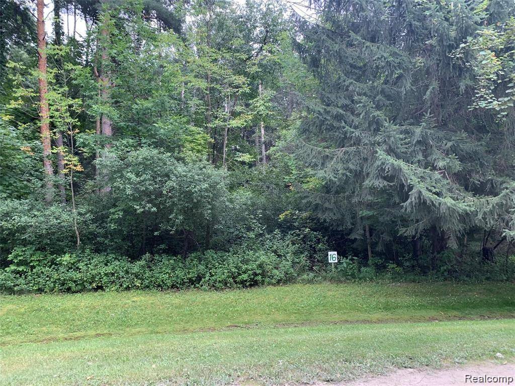 Oxford, MI 48371,Par 16 SECLUDED PINES Drive