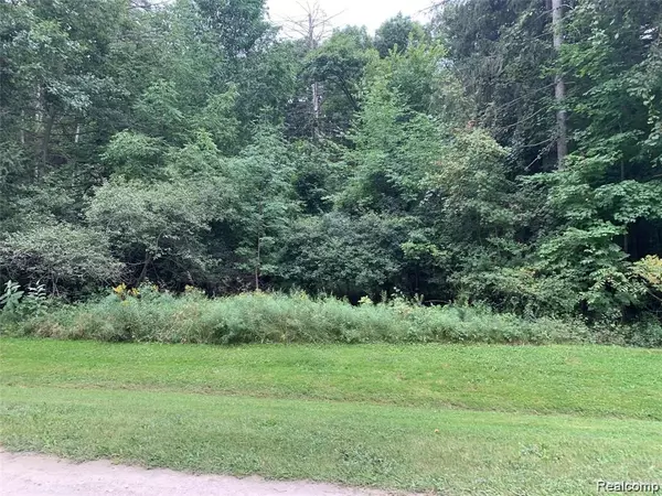 Oxford, MI 48371,Par 16 SECLUDED PINES Drive