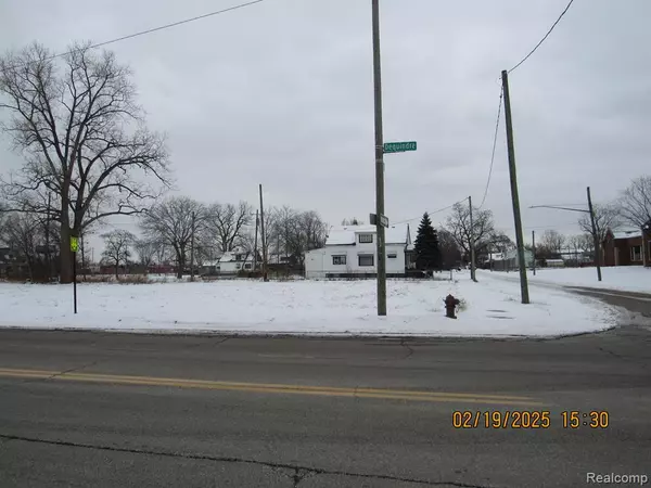 Hamtramck, MI 48212,13108 DEQUINDRE Street