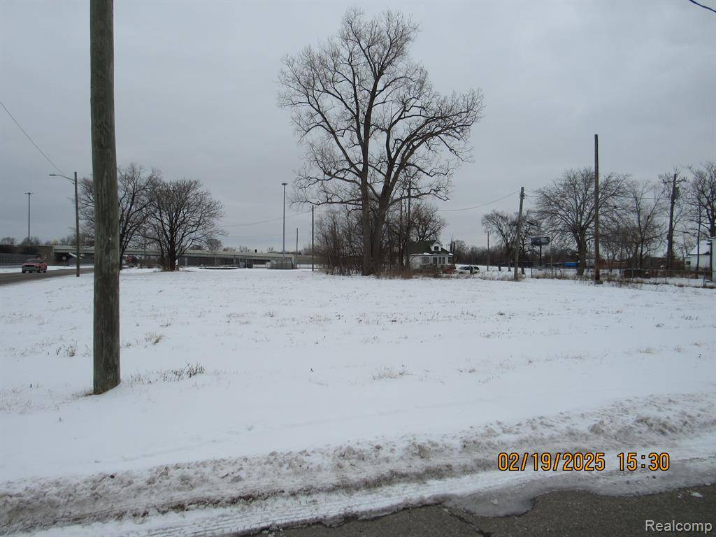 Hamtramck, MI 48212,13108 DEQUINDRE Street