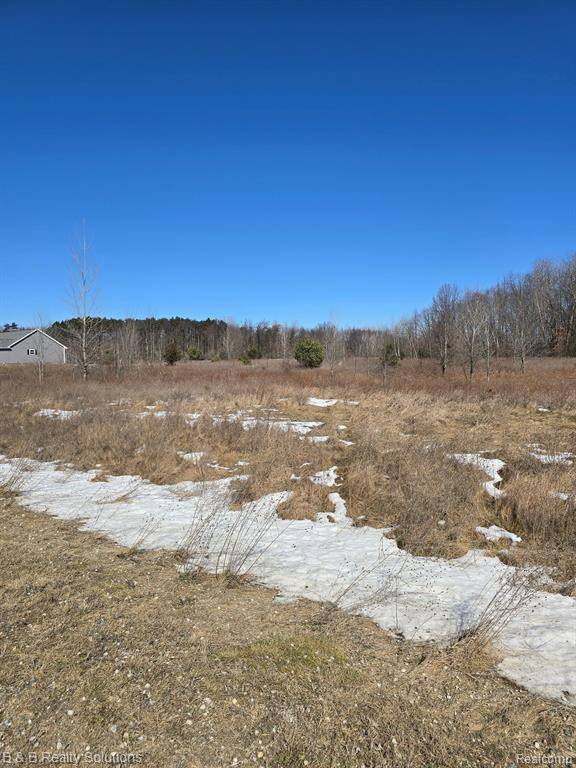 Otter Lake, MI 48464,6518 FOLSOM Lane