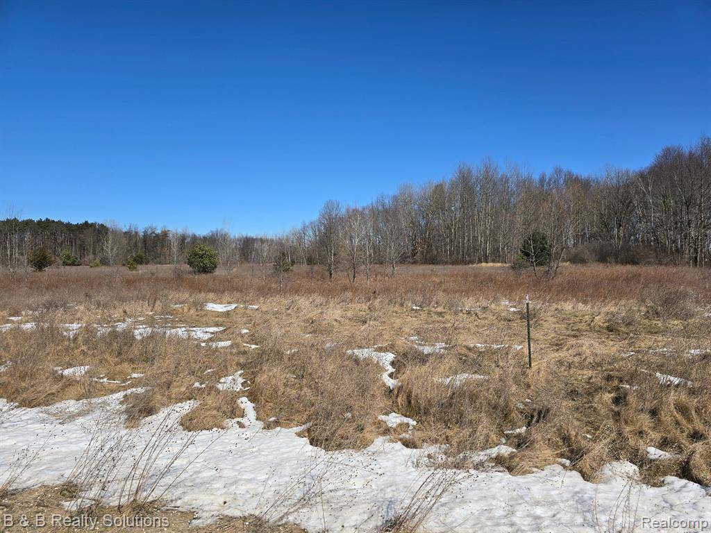 6518 FOLSOM Lane, Otter Lake, MI 48464