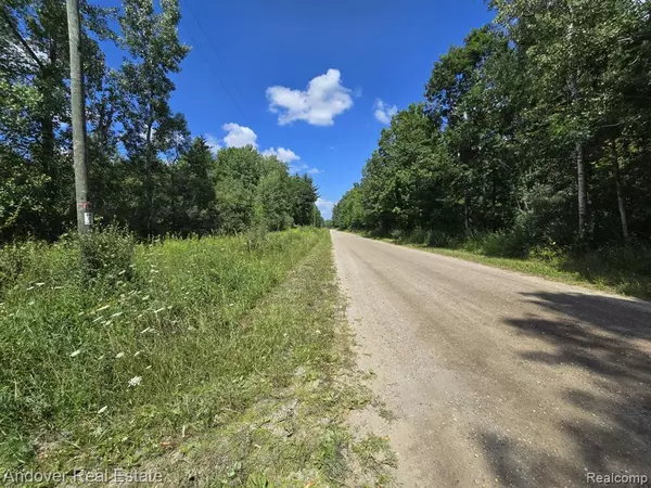 Brethren, MI 49619,Leckrone Rd  Parcel A
