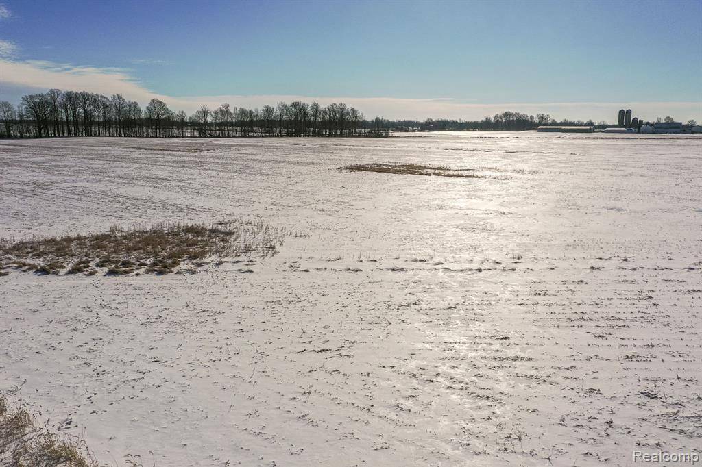 Richmond, MI 48062,Lot 5 Vacant Land Dayton Road