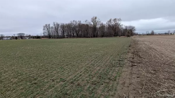 Allenton, MI 48002,00 Holmes