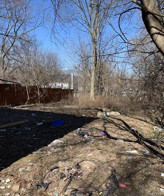 Mount Morris, MI 48458,1145 LAPORT Avenue