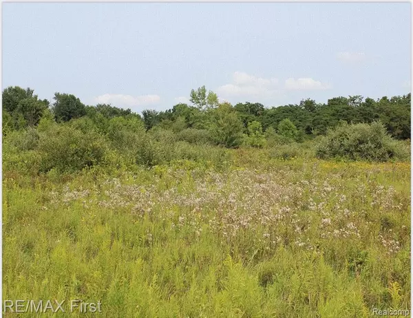 Imlay City, MI 48444,0 BROWN CITY RD