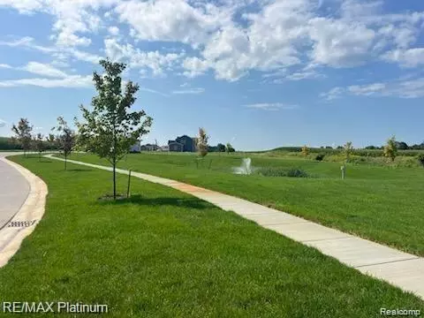 Linden, MI 48451,13163 Stony Brook Pass