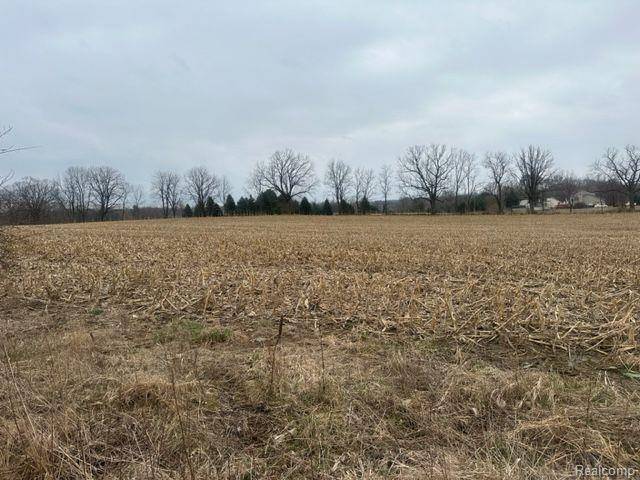 Linden, MI 48451,Parcel E Hogan