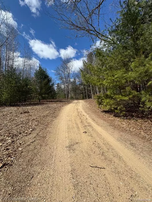 Houghton Lake, MI 48629,0000 Hardacre Trail