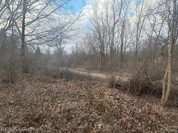 Gregory, MI 48137,000 DAYMON Road
