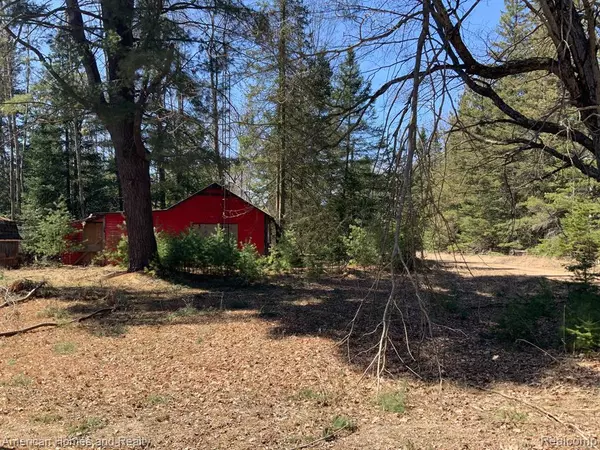 1908 E ANDREWS Road, Mikado, MI 48745