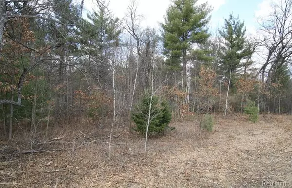 South Branch, MI 48761,V/L S BRODIE Road