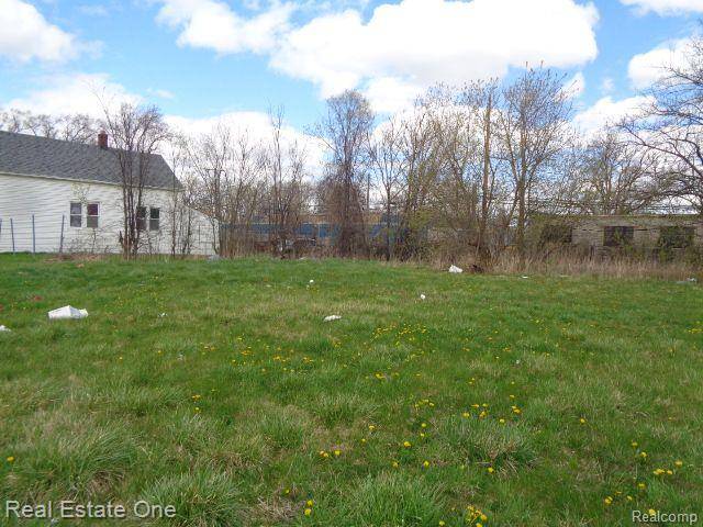 Hamtramck, MI 48212,11670 SAINT LOUIS Street