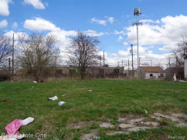 Hamtramck, MI 48212,11682 SAINT LOUIS Street