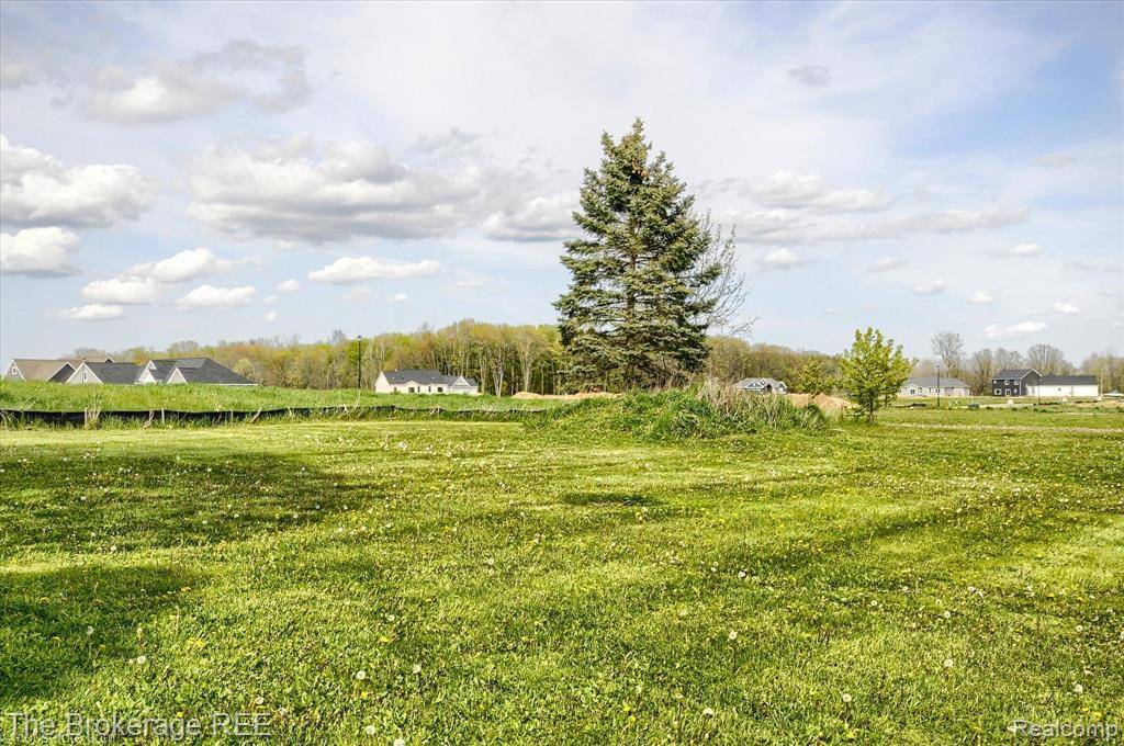 Linden, MI 48451,13263 LINDEN Road