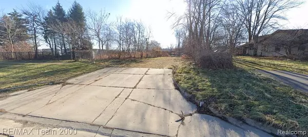 Romulus, MI 48174,0000 VAN BORN Road
