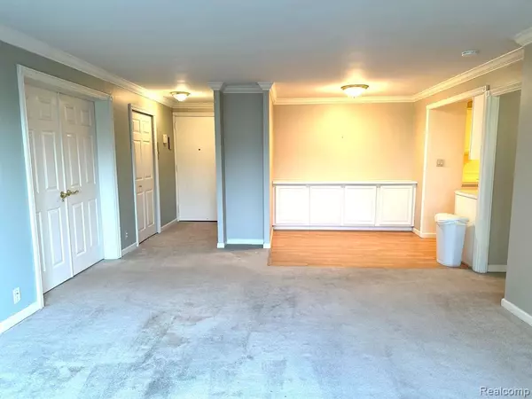 Wyandotte, MI 48192,20 CHESTNUT Street