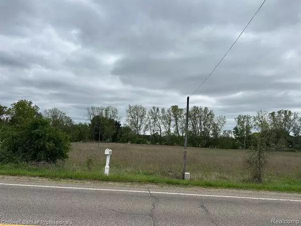 Lapeer, MI 48446,Lot C Bowers Road