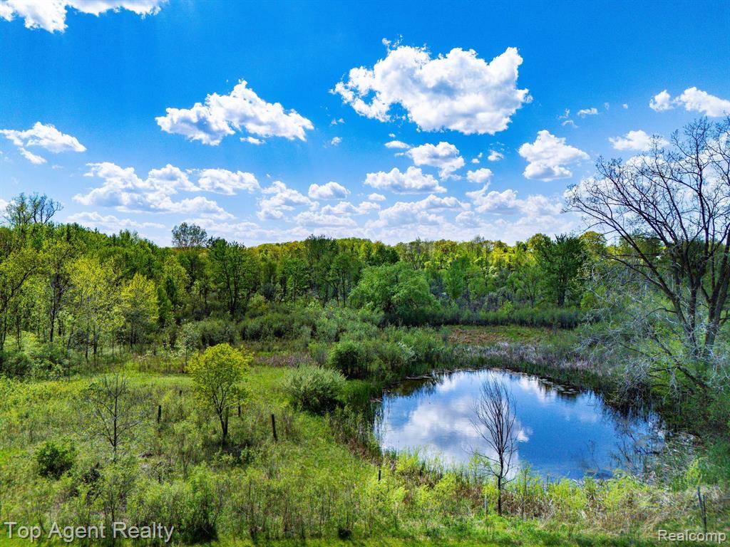00 West Street, Leonard, MI 48367