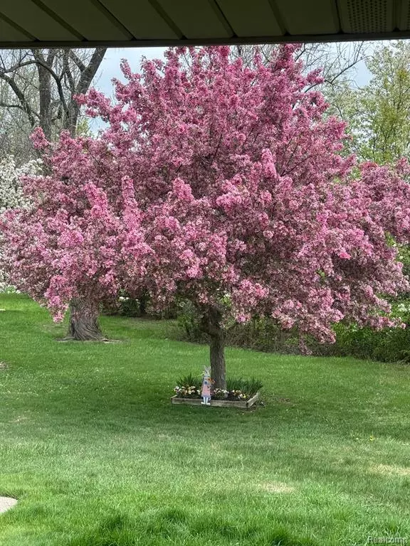 Shelby Twp, MI 48315,15091 SEBASTIAN Court