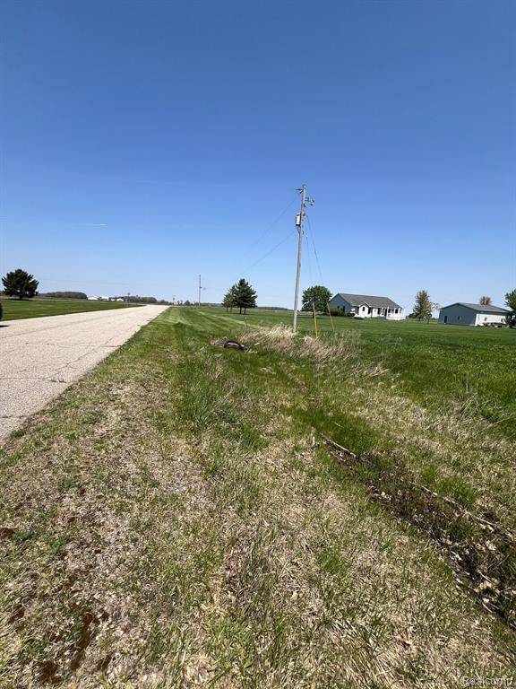 Owosso, MI 48867,1990 BUCK TAIL Road