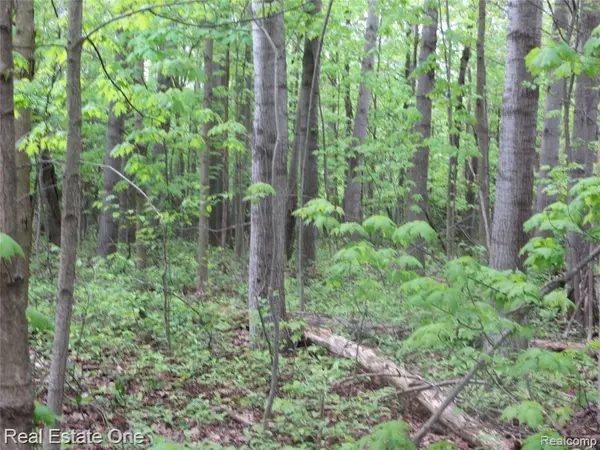 Cadillac, MI 49601,000 M 55