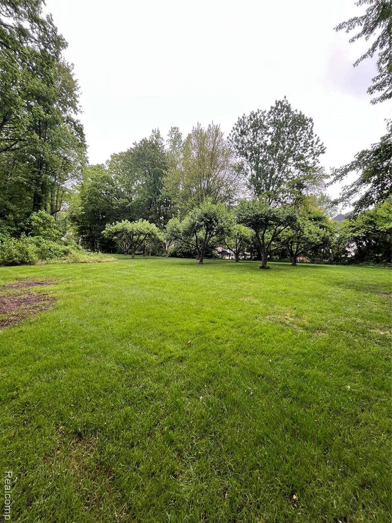 Clinton Twp, MI 48036,0 Camellia Lane